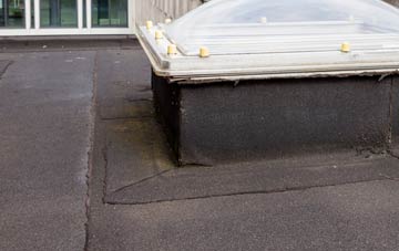 disadvantages of Yearby flat roofs